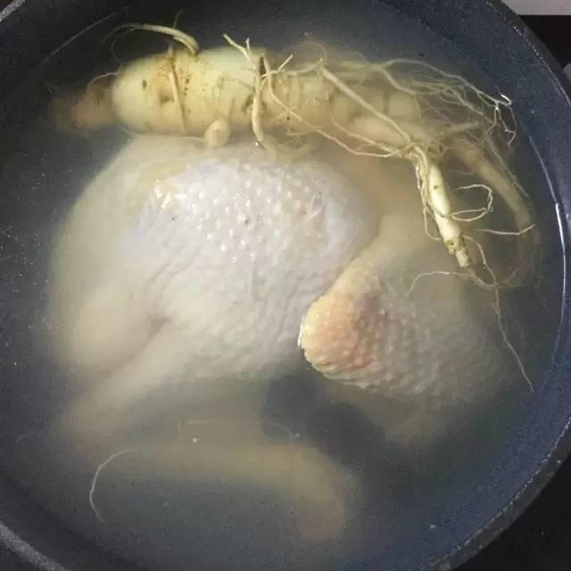 黄小厨养生炖品,黄小厨香菇炖鸡