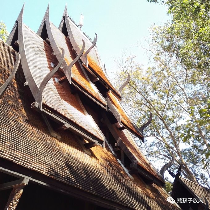 能在异国被警察抓也没谁了吧？这是我的清迈，和你去的不一样！