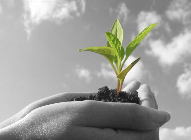 为什么一谈恋爱就变得不自信,为什么你恋爱总是高开低走