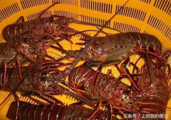 罗氏虾与澳洲小龙虾的区别,罗氏虾和基围虾区别哪个好