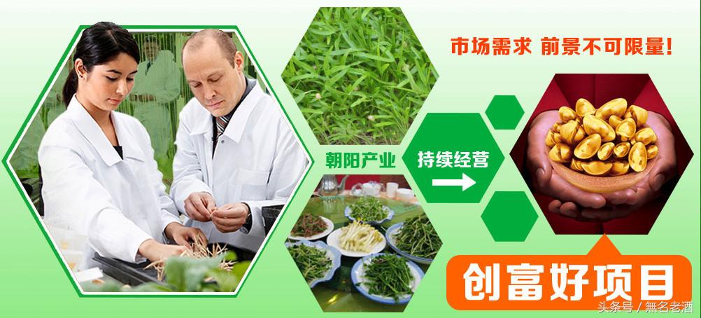 目前十种创业致富商机,乡镇创业35个赚钱致富项目