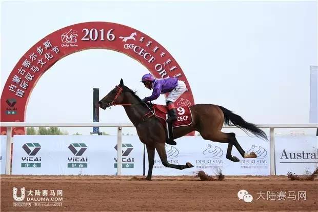 马术文化节开幕,鄂尔多斯驭马节赛事