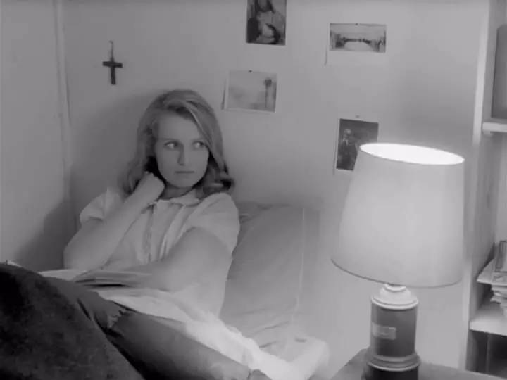 Day86命运和偶然之间的爱情