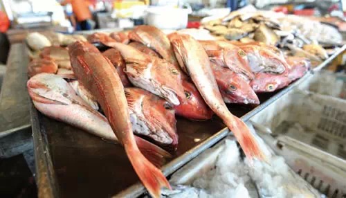 威海的海鲜什么时候是旺季,威海应季海鲜