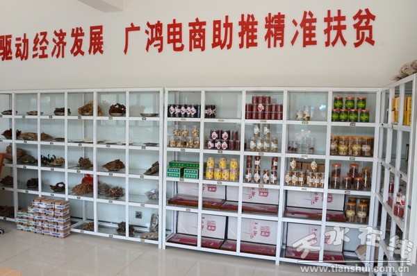 清水县组团赴西和县和礼县考察电子商务