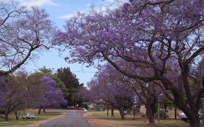 春暖花开踏青正当时完整版,春暖花开踏青季攻略