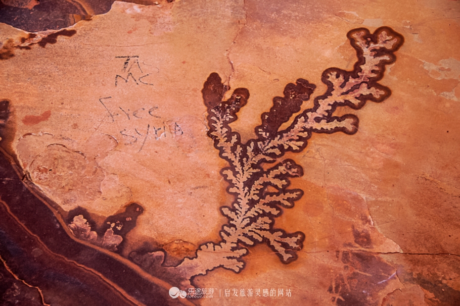 一座拥有深厚历史底蕴的城市,一座有着悠久历史的城市