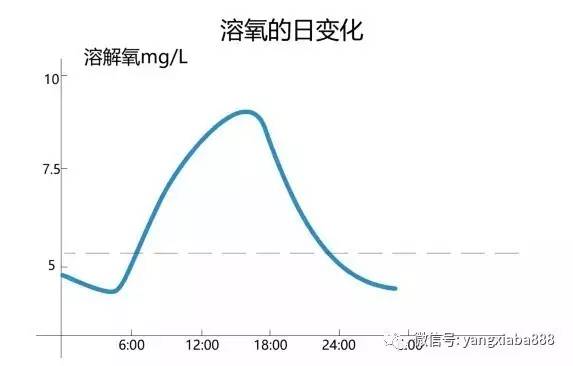 水产养殖鱼塘溶氧与温度的关系,水产养殖如何溶氧