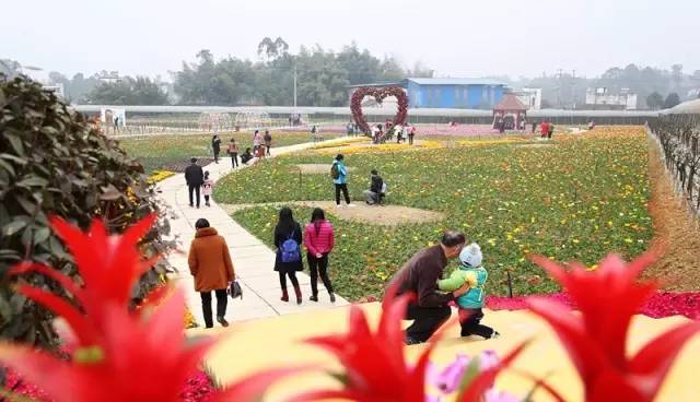 怡园花田官网,怡园花田特惠票