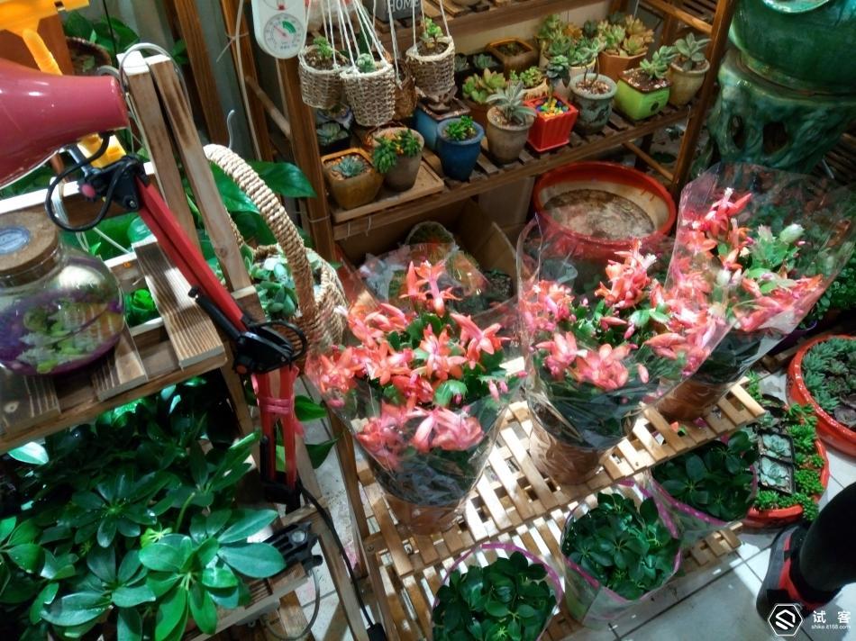 千元续航快充,千元快充手机