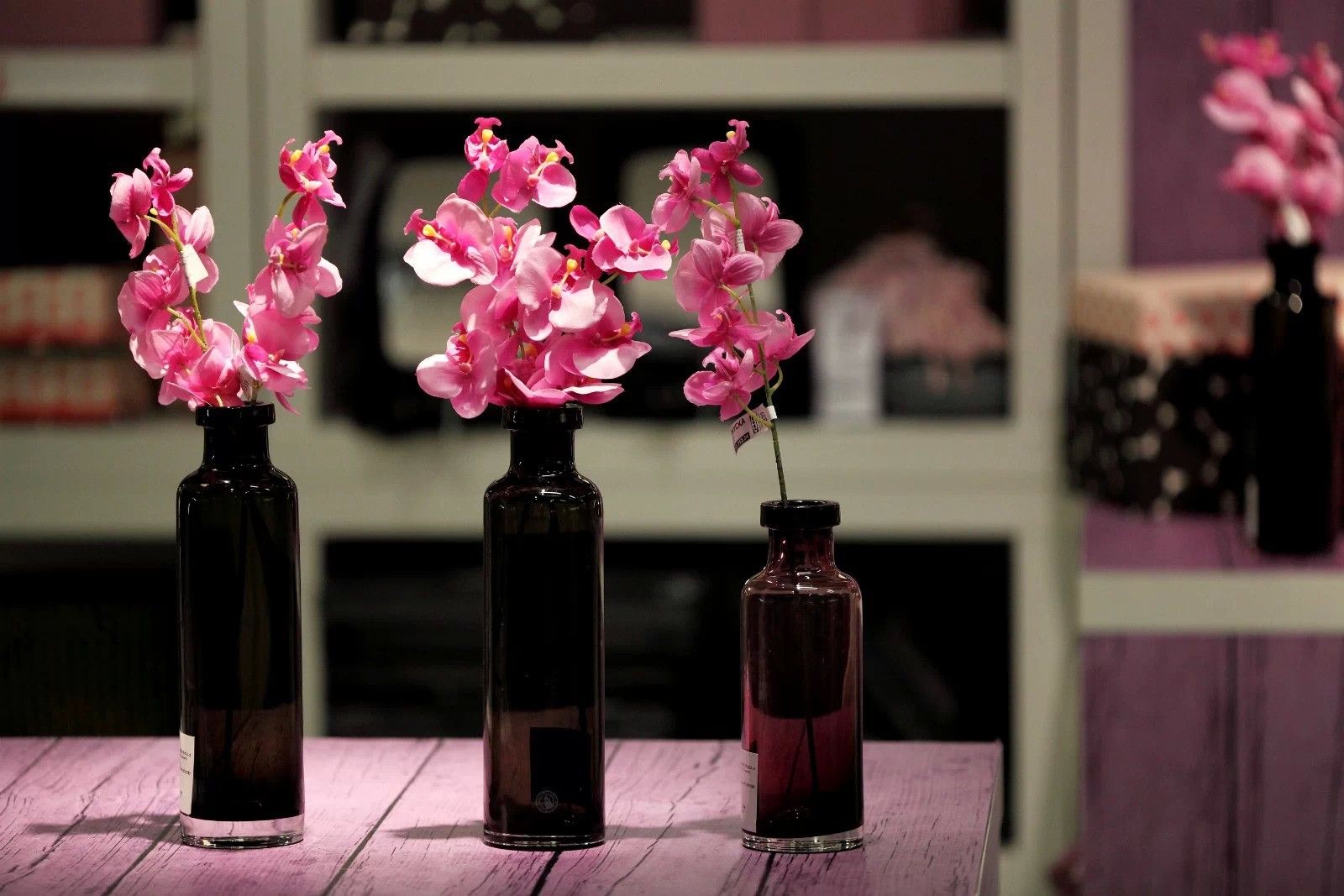 南京春天适合孩子玩的地方,南京情侣适合玩的地方旅游攻略