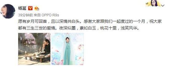 三生三世最后的大结局,三生三世大结局了吗