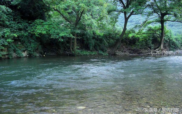 钓鱼新手常见问题,钓鱼问题处理