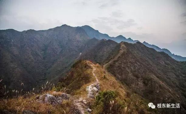 “南方夏都”桂东，平汝高速上的避暑休憩地