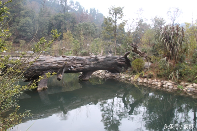 最美的侗寨,最美侗乡视频