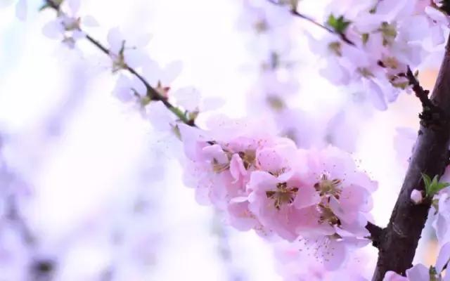 被痘痘困扰发的朋友圈,被痘痘肌困扰的朋友们福音来啦