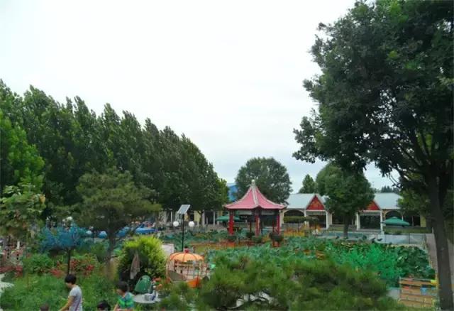 厉害了我的廊坊！这个有着美丽风景和高颜值的城市，变身“网红”