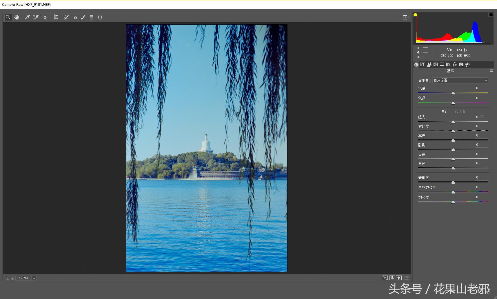 怎样用x光胶片翻拍人像底片,翻拍胶片底片如何处理