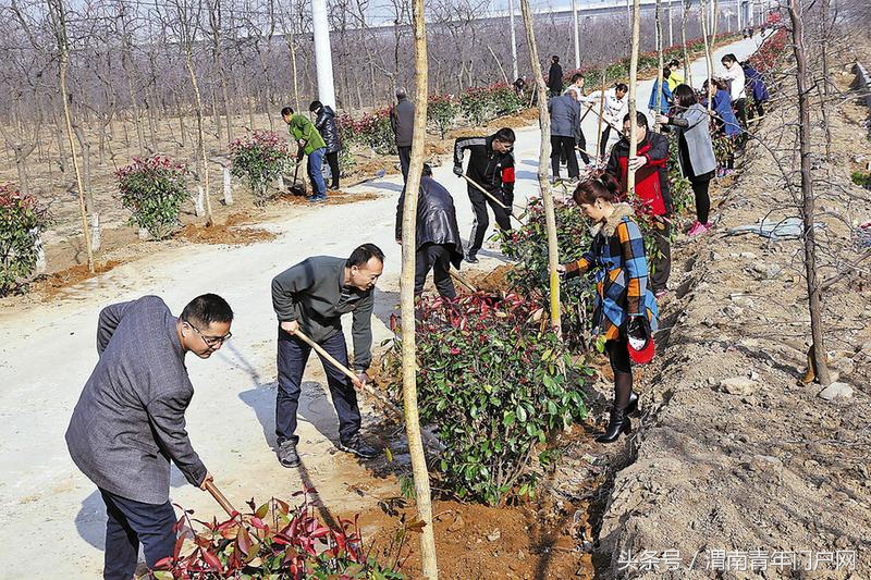 渭南新闻快报电话,渭南新闻头条24日