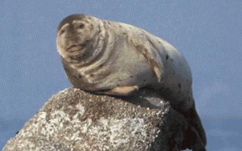 要是打嗝了有什么办法止住打嗝,有什么方法治打嗝一直打嗝