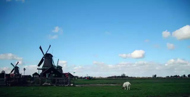 荷兰纪行—风车村与安妮之家（看看荷兰的“四宝”）