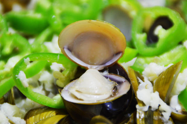 问世间蚬为何物?珠海上横黄沙蚬何以任性?