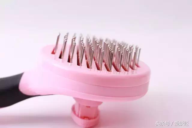 宠物除毛梳,宠物除毛神器哪个好用