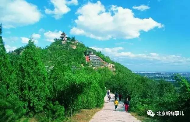 北京最美赏花公园在哪,北京赏花公园景点推荐