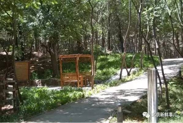 北京最美赏花公园在哪,北京赏花公园景点推荐