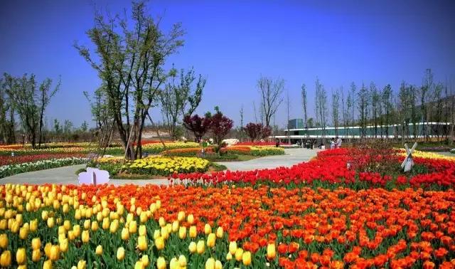 众里寻她千百度视频,众里寻她千百度作品