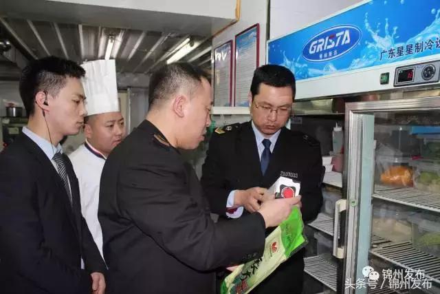 锦城最新消息,锦城消息