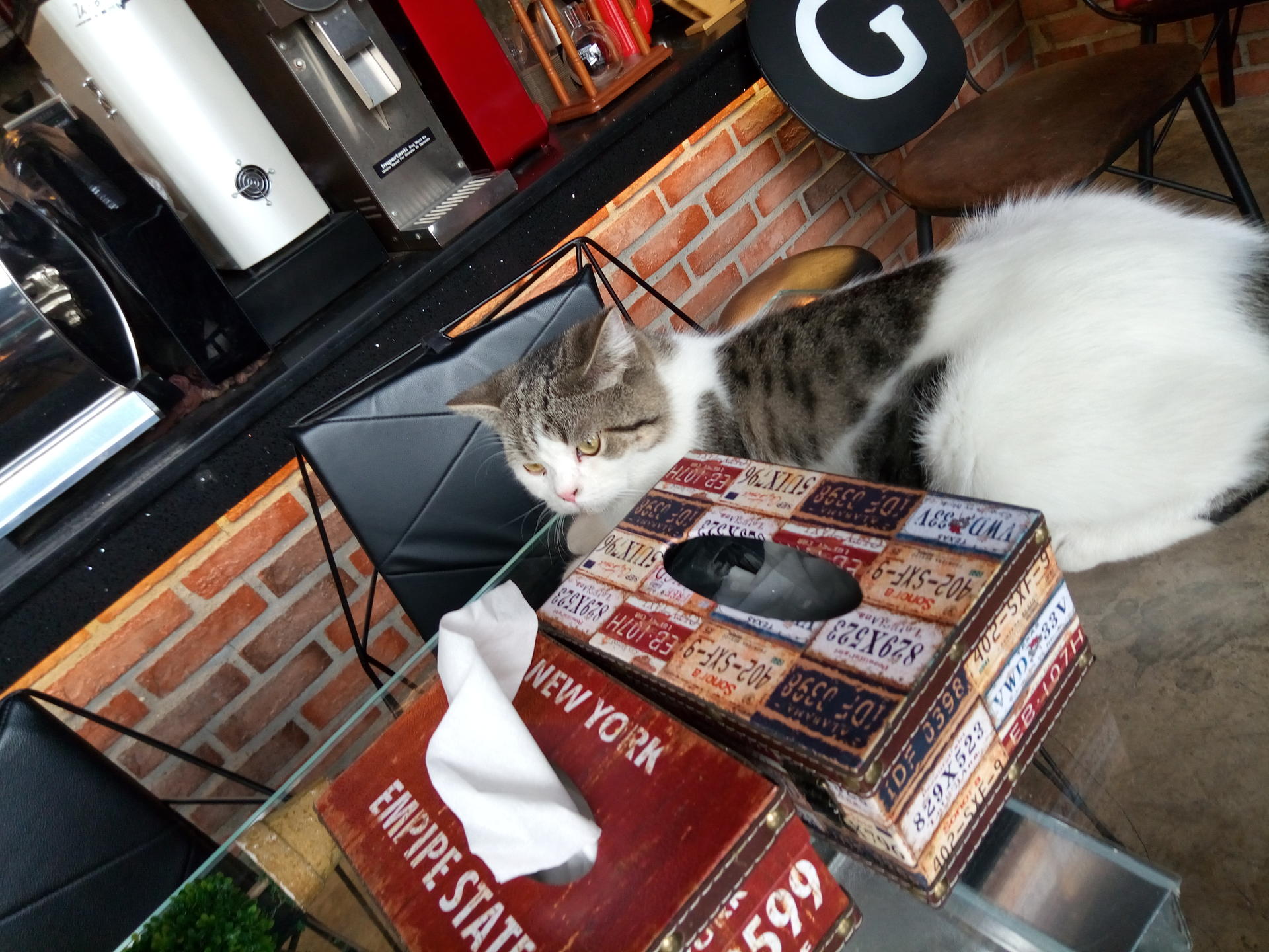 魅蓝5s手机评测视频,魅蓝5x测评