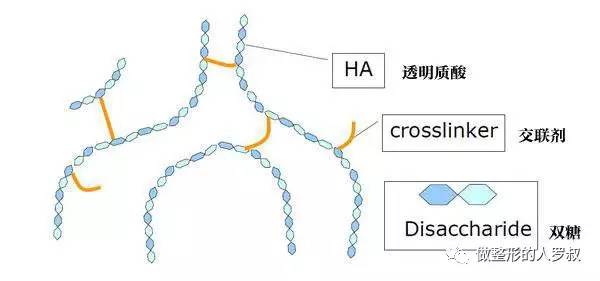 罗叔：10问玻尿酸（建议收藏）