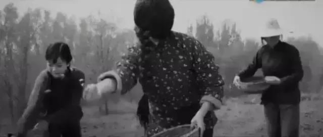 贞子抗战神剧,有贞子的抗战影片