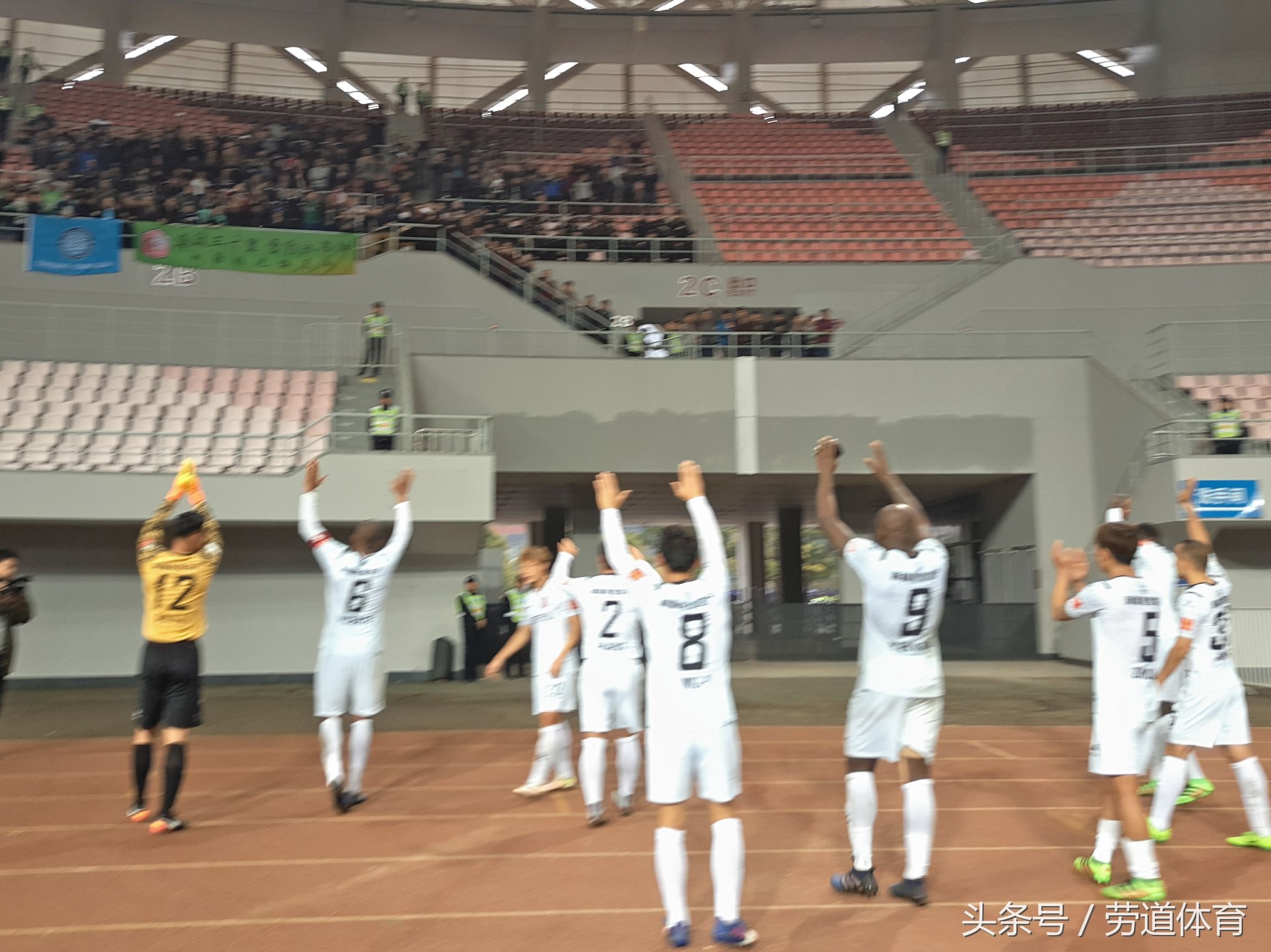 在浙江绍兴五分之一的*疆新**人，昨天集合到一起为天山雪豹加油