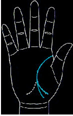 手的生命线是越长越好吗,手纹上的生命线越长越好吗