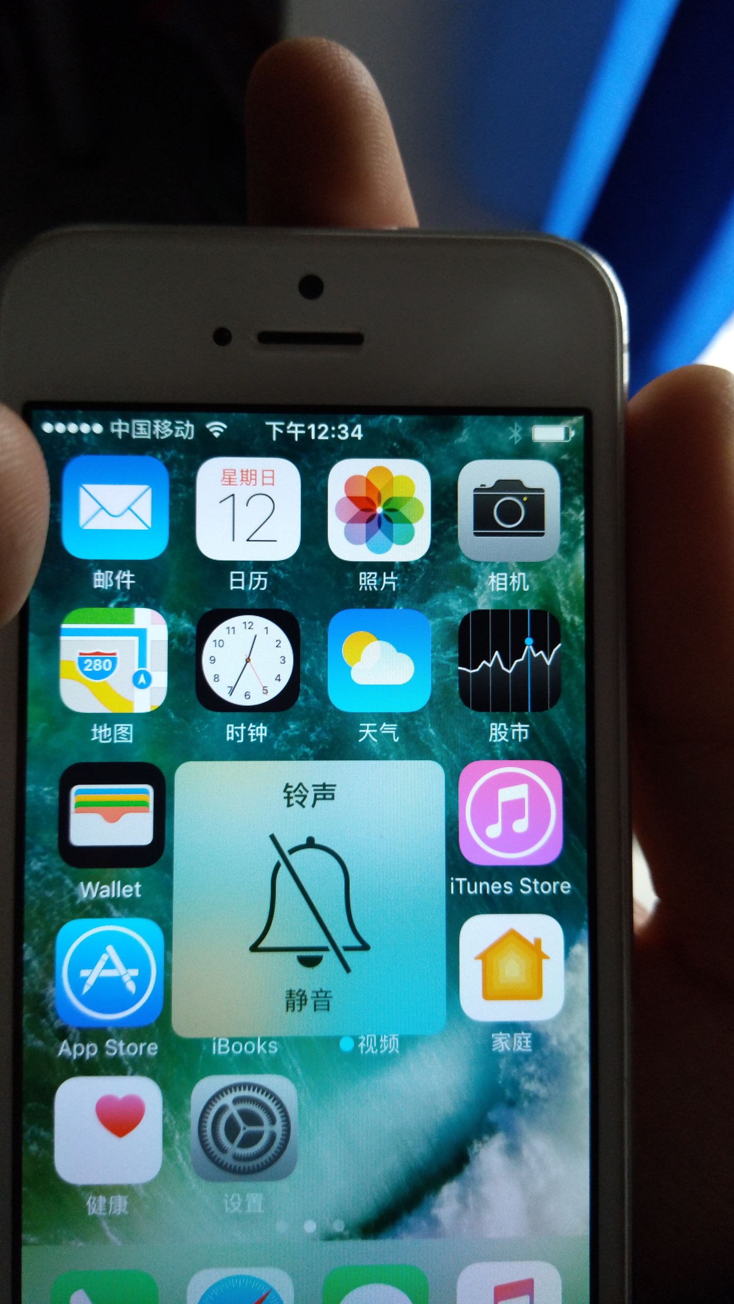 闲鱼40块苹果5s手机,闲鱼上的400苹果11