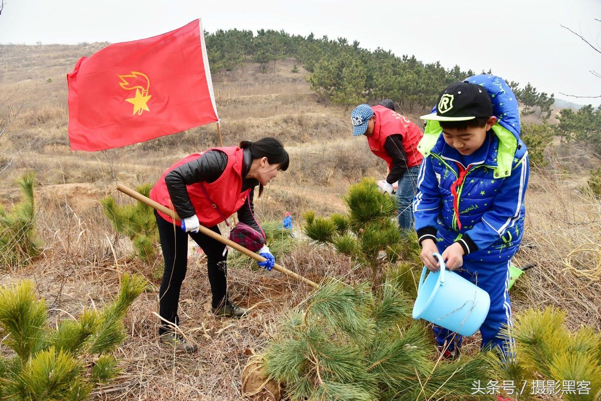 义务植树与创建森林城市,共建文明城市小学生