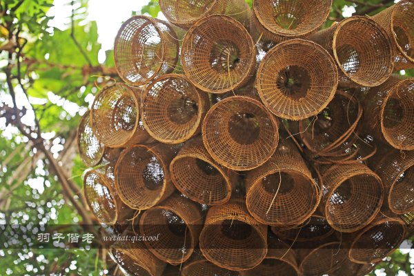 居于涟岸隐于湖，到肇庆体验离尘不离城的精致慢生活