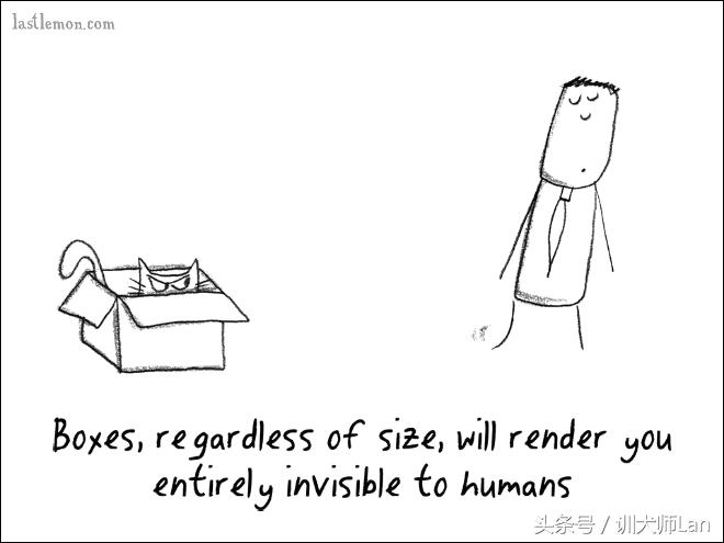 模拟猫咪攻略,驯服猫咪攻略