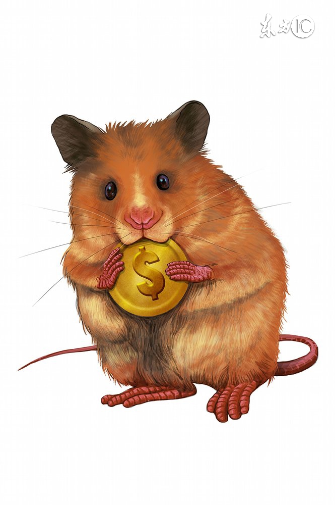 2017年犯太岁,2017年犯太岁怎么破解