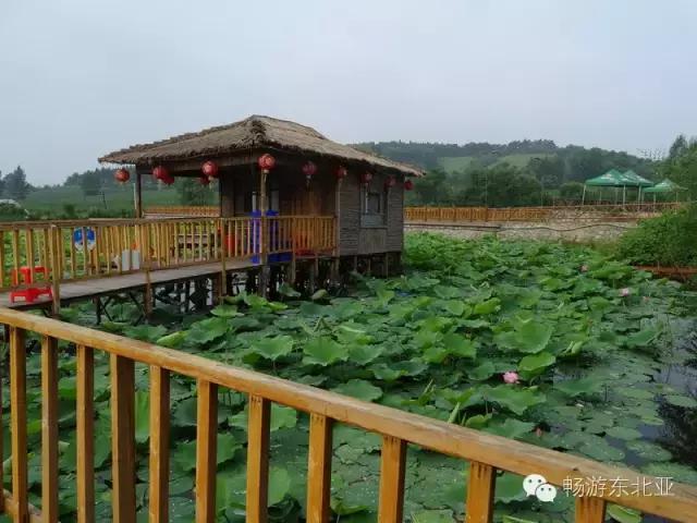 大辽源美景,大辽源视频