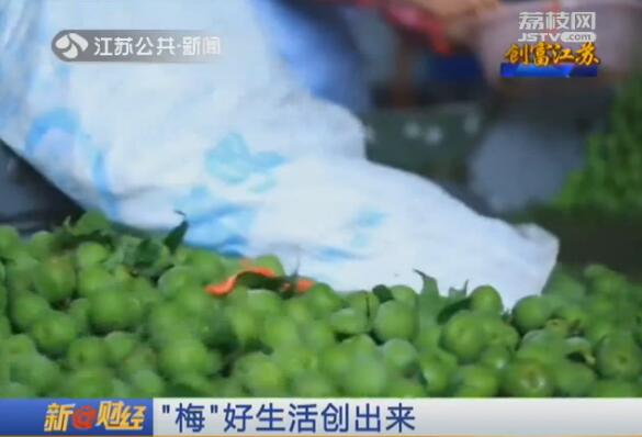 创富江苏:“梅”好生活创出来