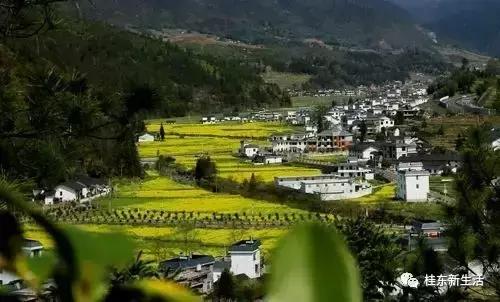 “南方夏都”桂东，平汝高速上的避暑休憩地