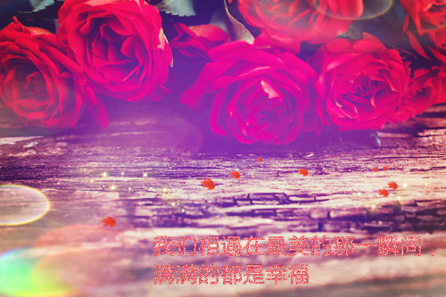 唯美意境的句子带图片,小清新绿色唯美图片