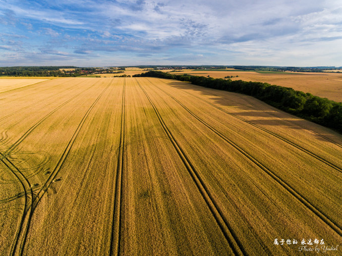 歌德与席勒,歌德为席勒写的诗