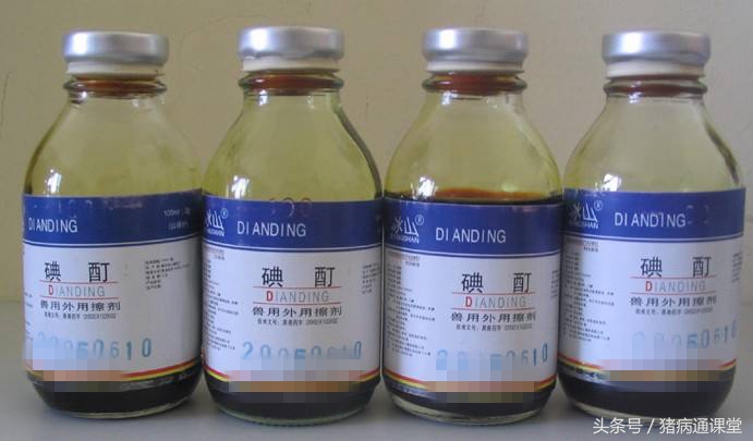 母猪蹄壳发脓怎么治,母猪后蹄起大脓疱