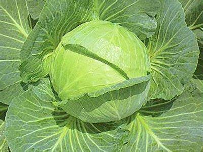 热可以杀死癌细胞吗,热疗法能治癌细胞吗