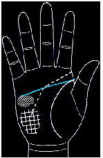 手的生命线是越长越好吗,手纹上的生命线越长越好吗