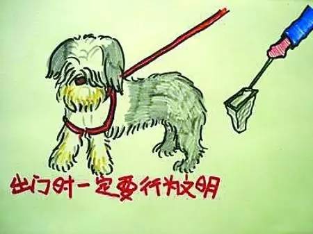 小区很多野狗,小区到处都是狗粑粑谁来管